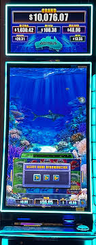 Reload Bonus Slots